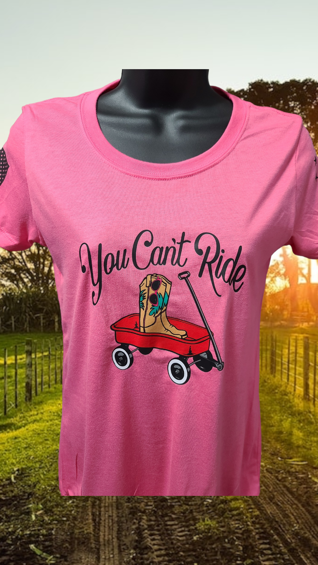 You Can't Ride!